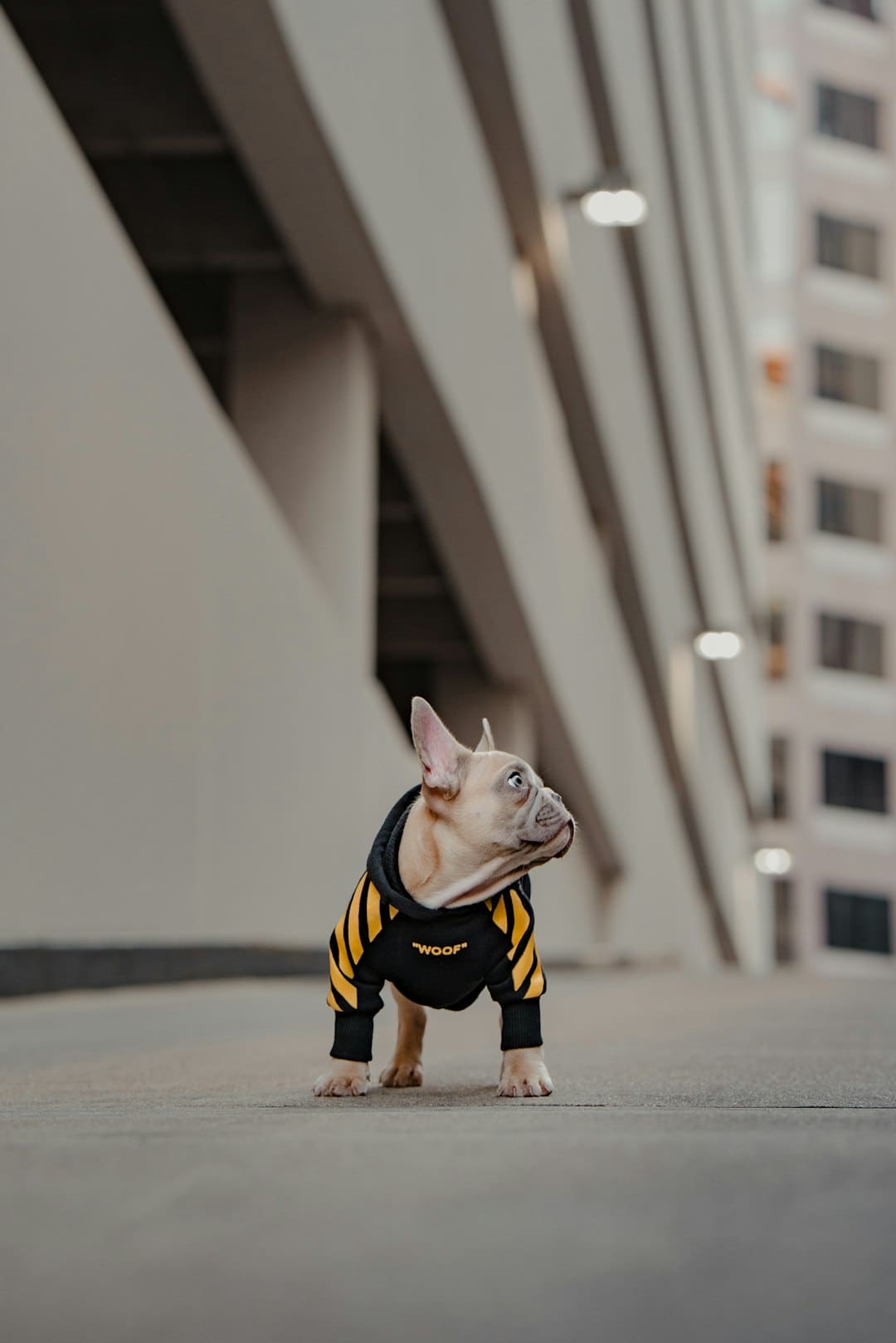 刚刚经过！利好来了！中概股回港上市传来大音讯